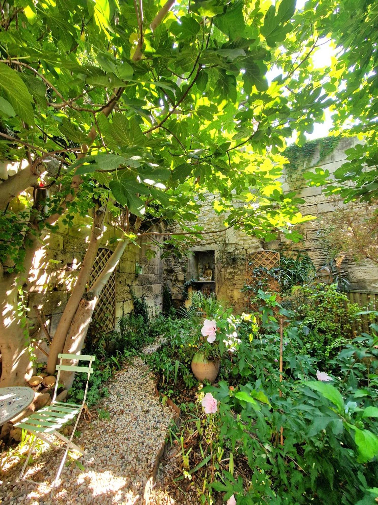 Capucines, Un Jardin Secret Dans Le Centre Historique Apartment อาร์ลส์ ภายนอก รูปภาพ